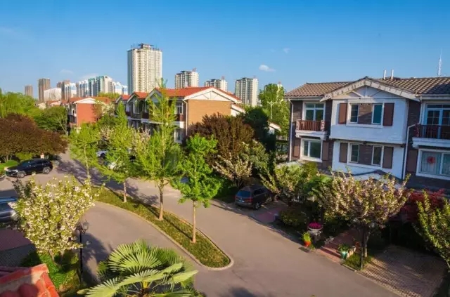 纸杯蛋糕 | 繁花五月，，，，，，唯爱绵绵